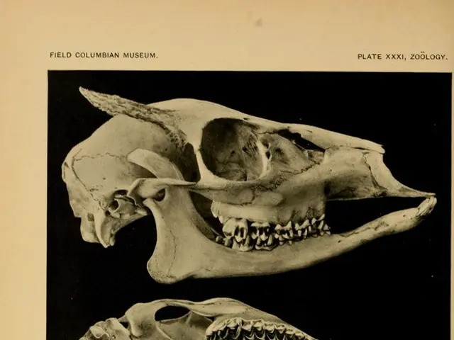 Exploring the Enigmas of Brain Tumors: Expert Investigations by Dr. Rao