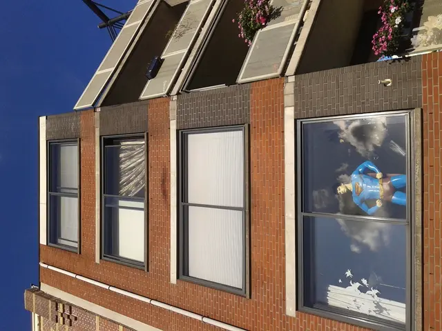 Top Picks: Indoor Flora that Alleviate Allergies for Your Home