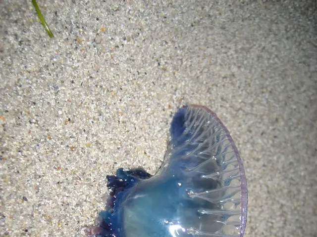 Server Pestilences: Identified Annoyances in Your Data Center and 4 Counter Measures