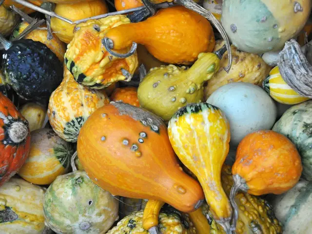 The Mystery Behind the Vibrant Hues of Fruits and Vegetables Unraveled