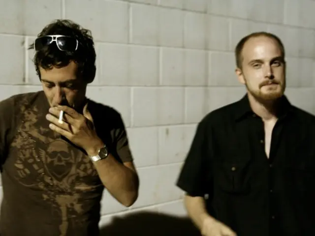 Exploration of Quit-Smoking Assistants: Varieties, Potential Adverse Effects, and Further Details