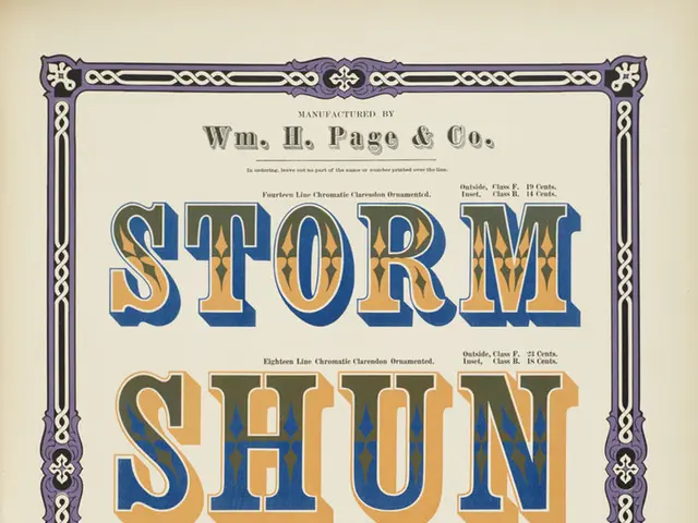 Impact of Emotions on Mental Processes