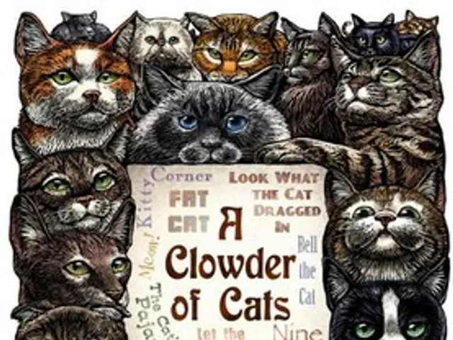Life's various domains seem to be increasingly influenced by bioethical considerations.