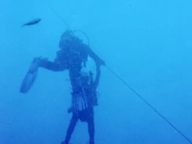 Zeman has made a recovery following his ischaemia incident in February.