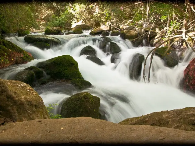Homes and Their Potential Impact on Cognitive Health Through Mold Exposure: A Possible Overlooked...