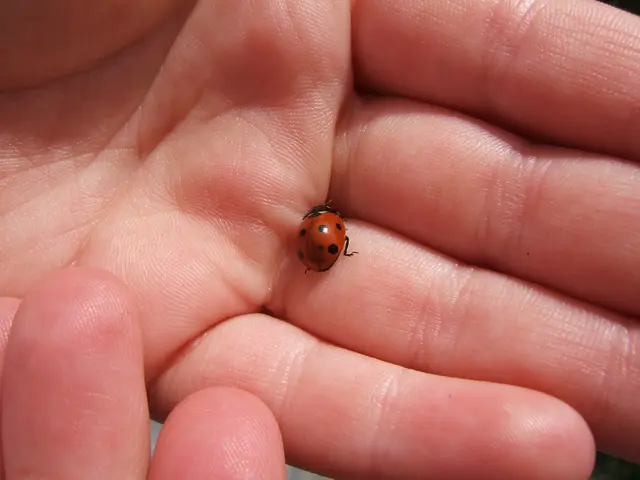 Treatment Options and Lifespan for Rubinstein-Taybi Syndrome