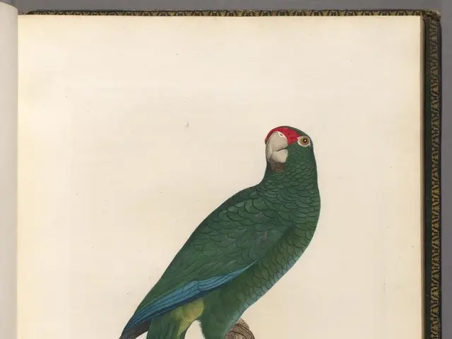 Kea Parrots Employ Calls Akin to Laughter as a Means to Invite Play Activity