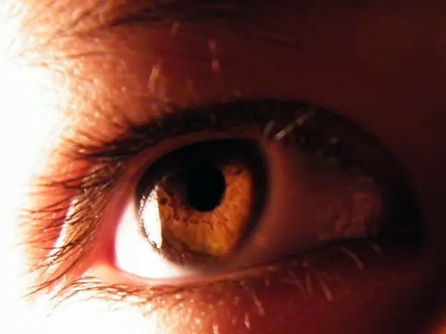 Boosting Natural Skin Wellness: DIY Methods Revealed