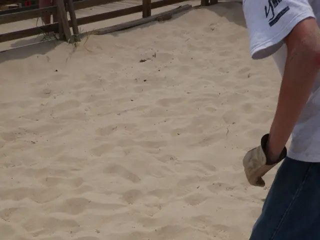 Eczema Treatment: Advantages of Moisturizing Bandages and Application Methods