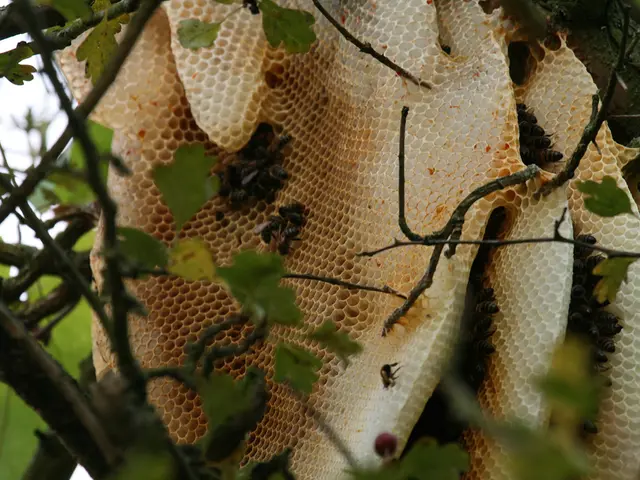 Allergy season is here! Do you have your pollen supplies ready?
