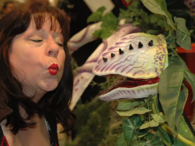 Impact of Sinus Issues on Sexual Activity: Strategies to Improve Intimacy