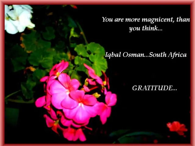 Phosphatidylserine Market is Projected to Reach a Value of $241.6 Million by 2034