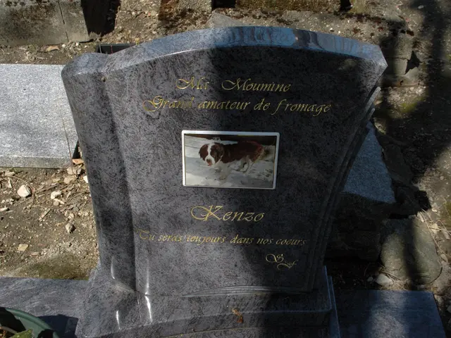 Interpreting dream symbols and their significance