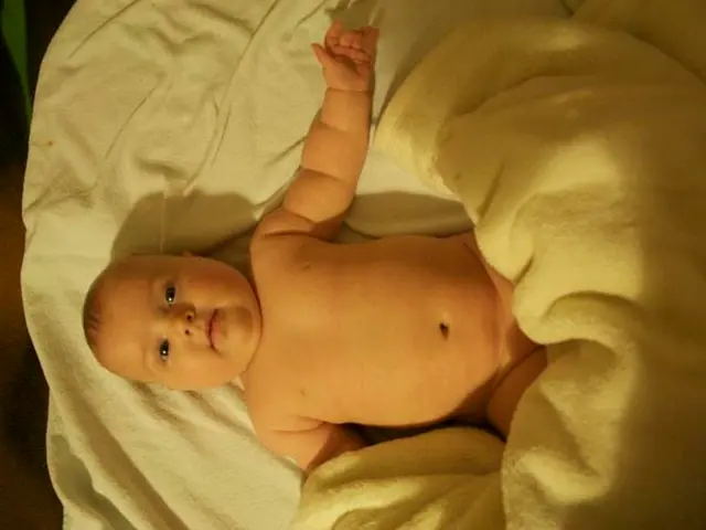 Womb-Lodged Lost Siblings: Unveiling the Concealed Tale of Miscarried Twins