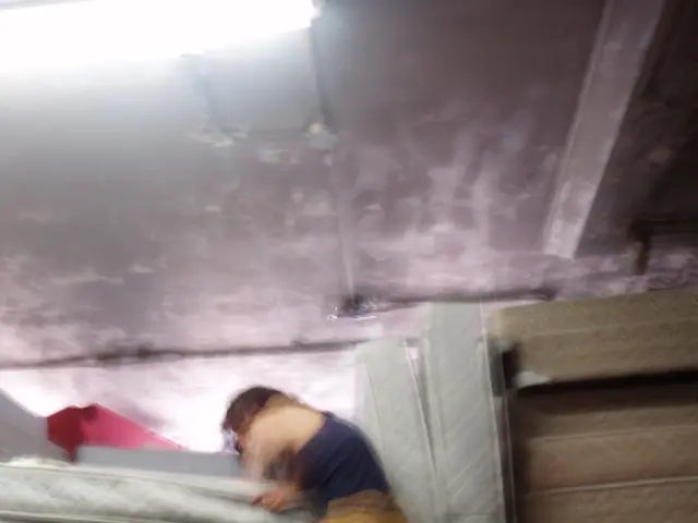 Sleep Aid Orthopedics: Essential Information to Consider