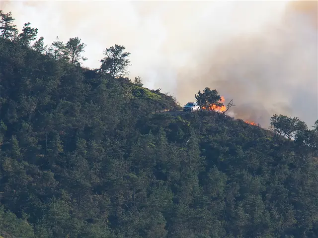 Protecting Your Health During Smoky Air Caused by Wildfires: Basic Guidelines