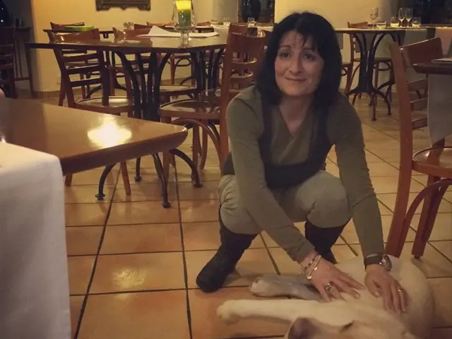 Identifying Canine Aggression: Recognizing Signs, Causes, and Expert Advice for Prevention