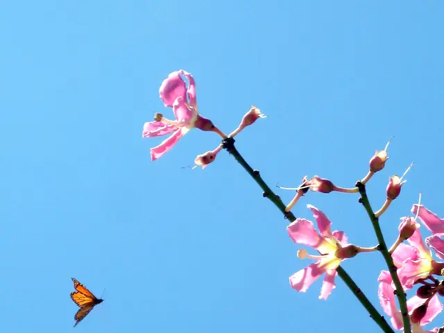 Astrological Analysis for Individuals Born on October 2