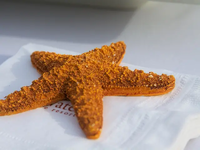 Calorie Burn Comparison: Muscle vs Fat Breakdown