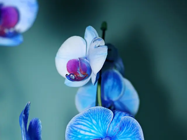 Reduced provisions in the GOP's "One Big Beautiful Bill Act" may pose a threat to healthcare...