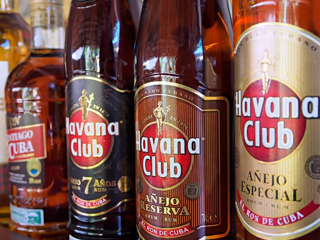 Lantus Interactions: A Look at Alcohol, Vitamins, and Other Substances