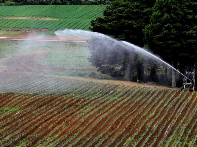 Regulating Excessive Groundwater Levels: Water Table Management Strategies