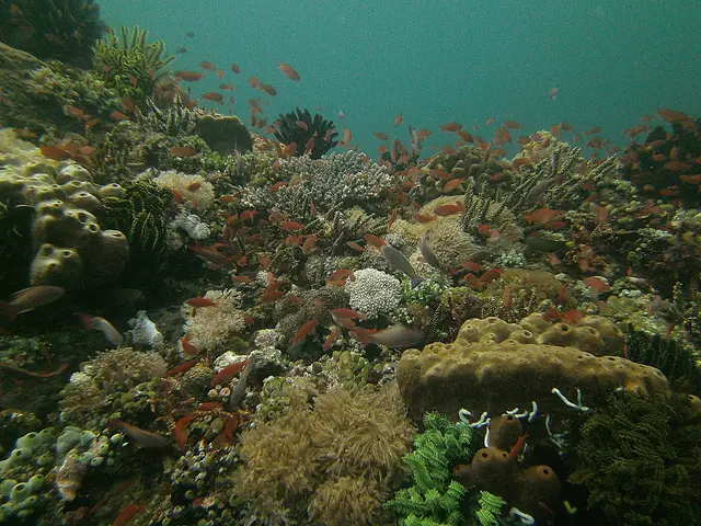 Researchers at Scripps awarded nearly $5 million to investigate causes of harmful and toxic algal...