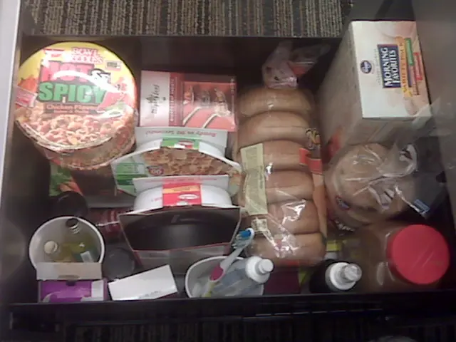 Veterinary Guide on Brushing a Dog's Teeth: The Essential Steps Explained