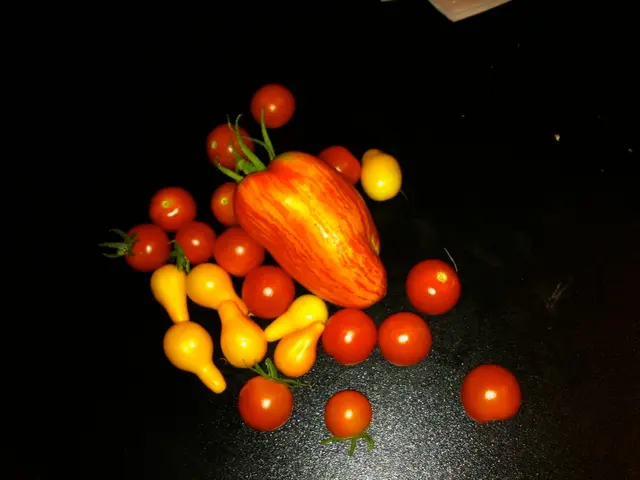 Top Ranking Fruits Packed with Protein to Boost Your Nutrition Intake