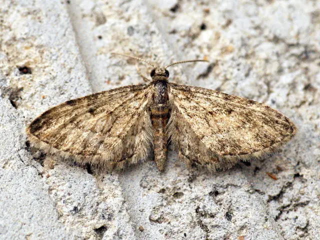 Insights into your subconscious self through dream analysis