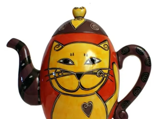 Heating domestic water for drinking purposes