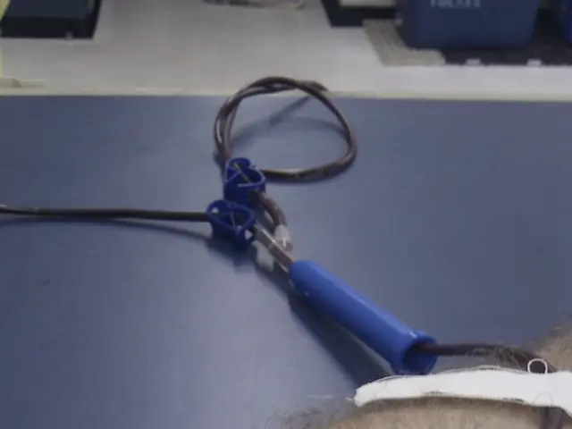Scientists Harness Magnetism for Bodily Healing: An Exploration
