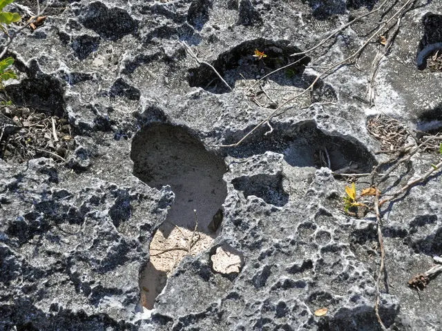 Mars Rover Perseverance Captures Unusual 'Helmet' Image on Martian Surface (Picture Included)