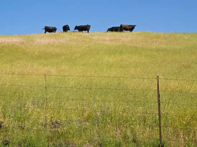 Farm Sanitation and Traffic Management: Ensuring Biosecurity Compliance