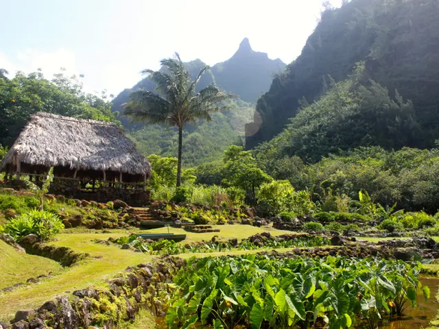 Throat Punching: Consequences, Treatment, and Seeking Assistance