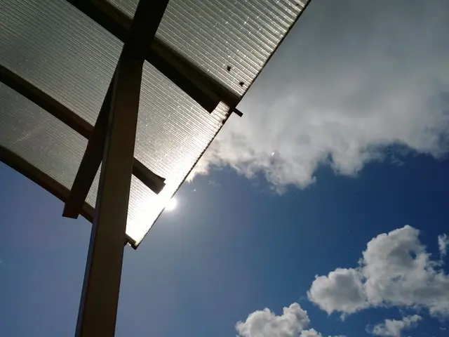 Living Survivor of a Meteorite Strike: Ann Hodges' Remarkable Story