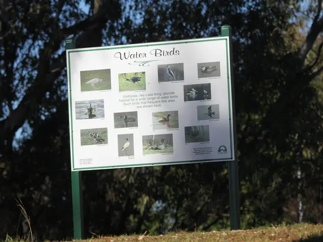 Tropical birds see a significant decrease due to intense heat