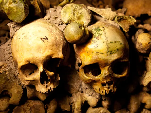 Exploring the Normality of Skull Indents: Understanding Varied Cranial Shapes