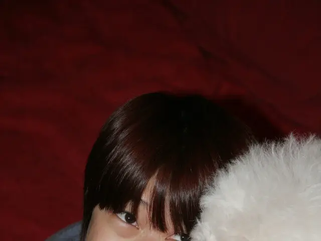 Impact of Animals as Comfort Agents in Elderly Care Facilities