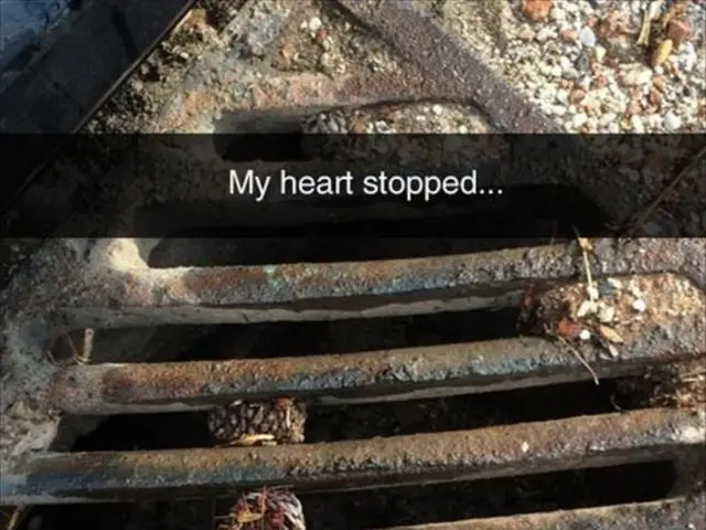 Older Heart for Harald (age 59), as revealed in a ZDF documentary; Harald expresses his contentment...