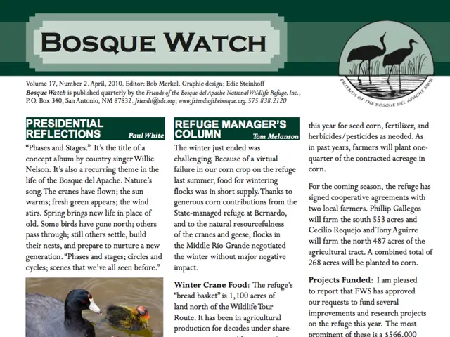 Geese Leadership Selection Process Detailed by Scientists