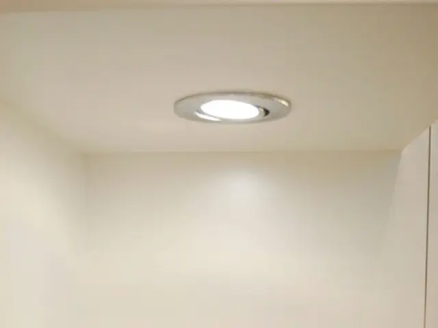 Examining the Wellness Frontier: Delving into Red Light Therapy Panels