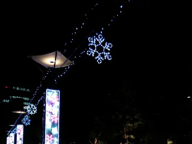 Emergency care in action illustrated