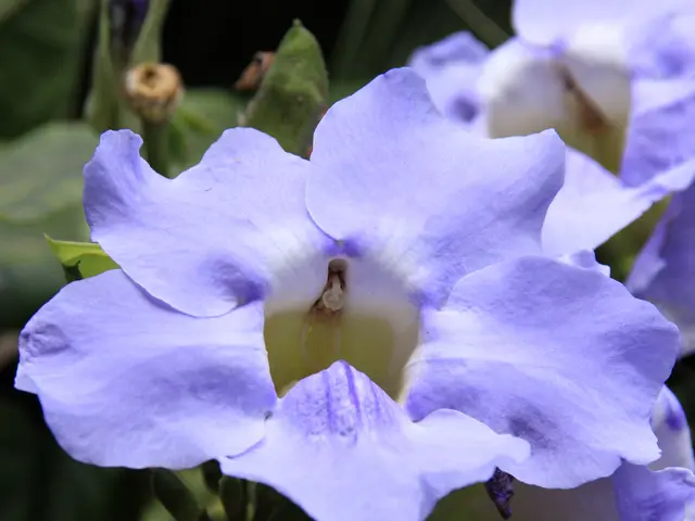 Morning Anxiety: Unraveling the Causes Behind Your Early-Day Stress