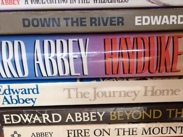 Islamic Texts Exploring the Rituals of Ramadan: Authentic Guides