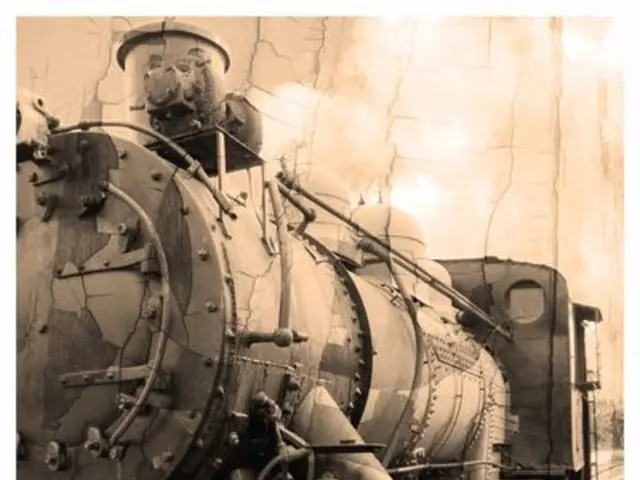 Train passenger found grappling with delusions