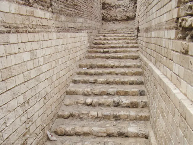 Recommended exercises for beginners aiming to enhance their strength and prolong their lifespan, as...