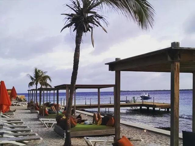 Shocked residents witness the emergence of a mountainous mound of perilous sea froth along Port...