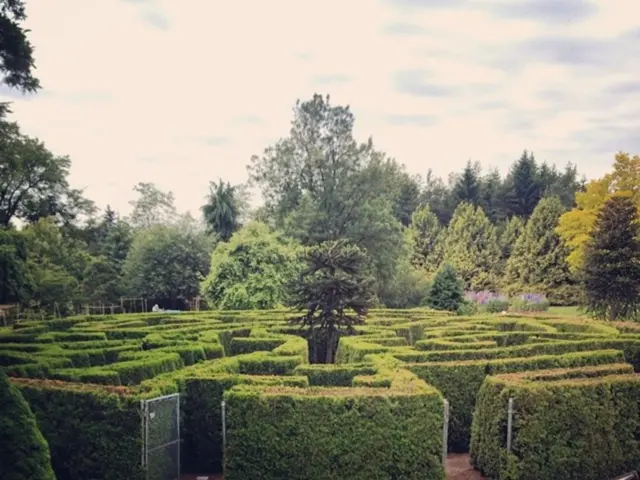 Current pollen scenario in Gladbeck: Grasses and ambrosia pose challenges for allergy sufferers...