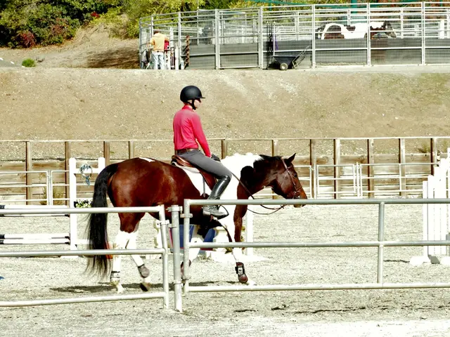 Tips for Holistic Grooming by Max Corcoran, Encompassing More Than Aesthetics